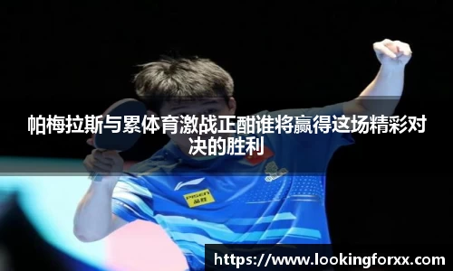 帕梅拉斯与累体育激战正酣谁将赢得这场精彩对决的胜利